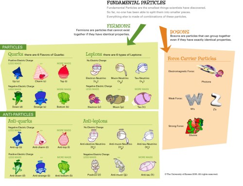 fundamental_particles